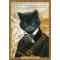 Carte postale chat historique de Séverine Pineaux, Chat Baudelaire – Histochats 2020