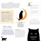 Calendrier Mon chat noir bien aimé 2021 de Nathalie Semenuik, calendrier mural Rustica éditions