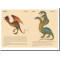 Le guide secret d'un chasseur de dragon de Patrick Jézéquel, illustré par Charline, éd. Au Bord des Continents