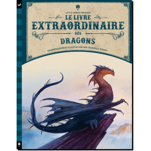 Le livre extraordinaire des Dragons, éditions Little Urban