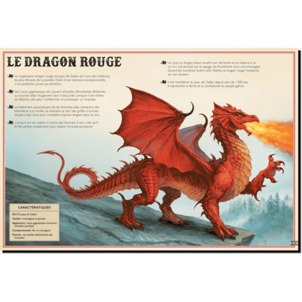 LE LIVRE EXTRAORDINAIRE DES DRAGONS, Caldwell Stella pas cher