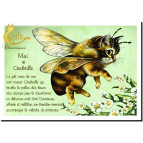 Carte postale de Séverine Pineaux : Mai Chabeille, carte postale Année des Chats chimériques