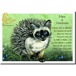 Carte postale de Séverine Pineaux : Mars Minetrisson, carte postale Année des Chats chimériques