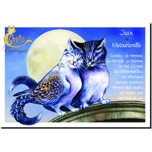 Carte postale de Séverine Pineaux : Juin Matourterelle, carte postale Année des Chats chimériques