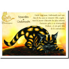 Carte postale de Séverine Pineaux : Novembre Chalamandre, carte postale Année des Chats chimériques