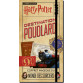 Destination Poudlard, Coffret magique du Monde des Sorciers, éd. Gallimard jeunesse