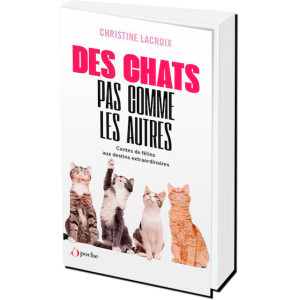 Des chats pas comme les autres de Christine Lacroix, éditions de l'Opportun