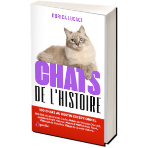 Chats de l'Histoire de Dorica Lucaci, éditions de l'Opportun