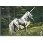 Mai - Mois de la licorne de Séverine Pineaux