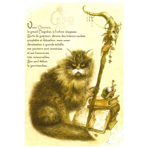 Carte postale Chaman de Séverine Pineaux - Chats de Féerie