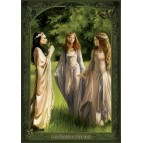 Carte Postale "Les Dames d'Avalon" de la collection "Dames de Brocéliande" illustrée par Sandrine Gestin