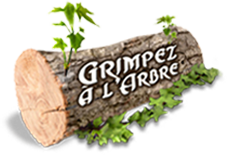 Grimpez à l'arbre