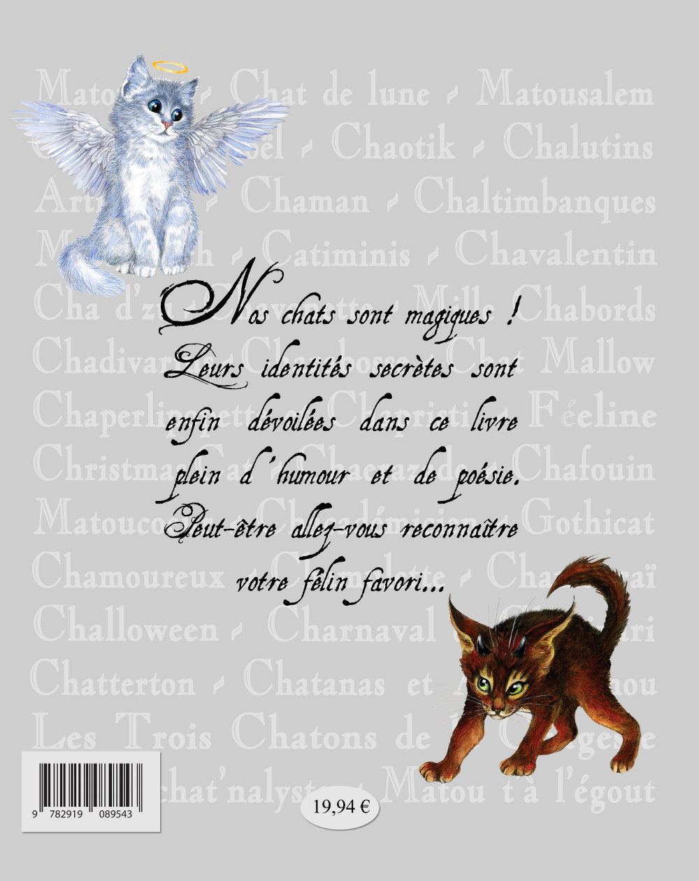 Les Chats Enchantés de S. Pineaux, le livre secret, image de dos