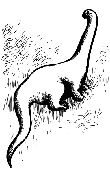Dessin de Mokélé M'Bembé, animal étudié par le cryptozoologue Michel Ballot Dessin de Mokélé M'Bembé, animal étudié par le cryptozoologue Michel Ballot