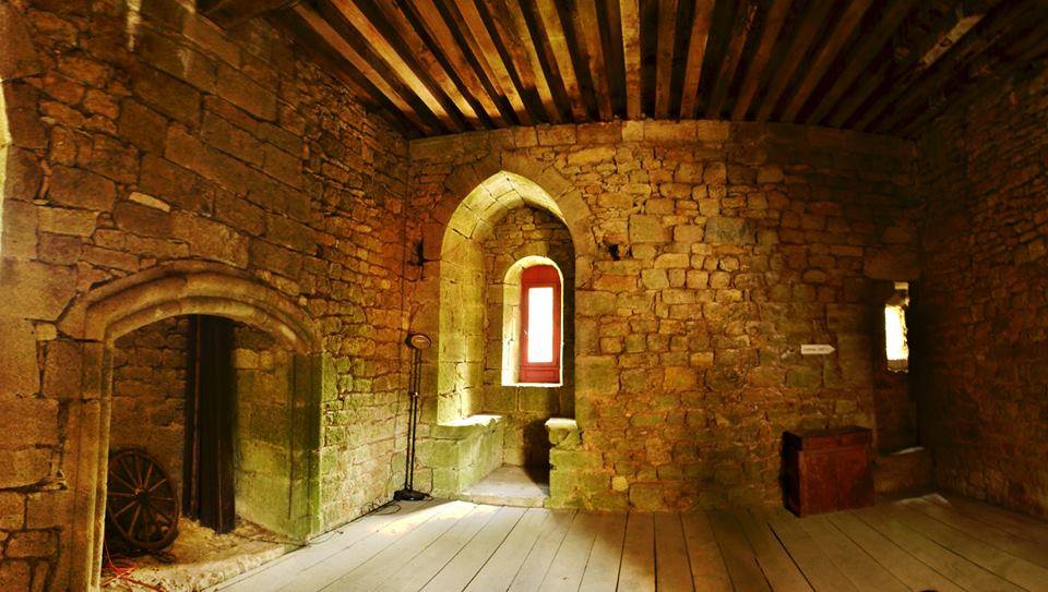 Donjon de Vic sous Thil 2015
