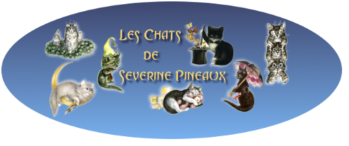 Rejoignez la communauté officielle Chats de Séverine Pineaux