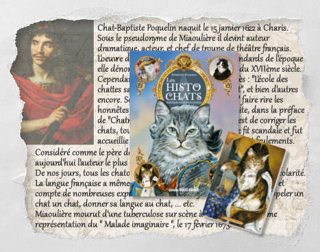 Chat-Baptiste Poquelin, un histochat inventé pour le Concours Histochats