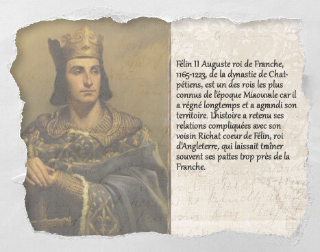 Félin II, un histochat du concours Histochats de Séverine Pineaux