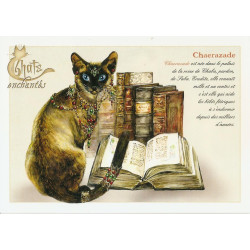 Carte postale Chaerazade de Séverine Pineaux