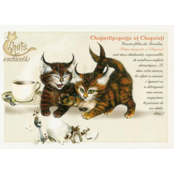 Carte Postale Chaperlipopette et Chapristi Chats Enchantés illustré par Séverine Pineaux