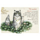 Carte postale Ch'amulette de Séverine Pineaux