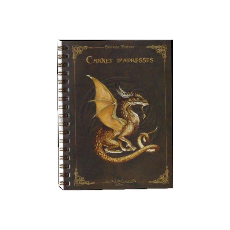 Carnet d'adresses Dragon de Séverine Pineaux, un répertoire original tiré de Dragons petit traité