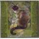 Magnet de chat de Séverine Pineaux, Charah Bernhardt, aimant décoratif des Histochats