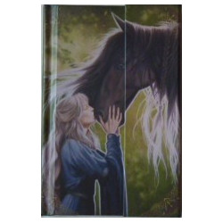 Petit carnet Cheval et Princesse de Sandrine Gestin, un notes book des Mondes merveilleux