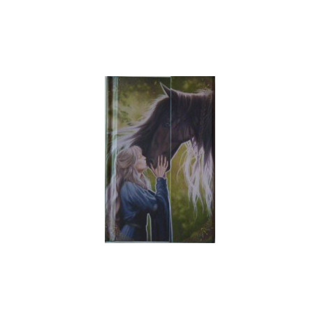 Petit carnet Cheval et Princesse de Sandrine Gestin, un notes book des Mondes merveilleux 