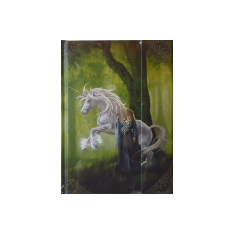 Notes book Dame à la Licorne de Sandrine Gestin, un grand carnet des Dames de Brocéliande