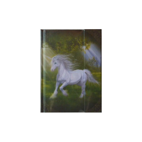 Notes book Licorne de Sandrine Gestin, un grand carnet des Mondes merveilleux