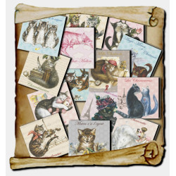 14 magnets Chats enchantés, Aimants décoratifs de chat Séverine Pineaux