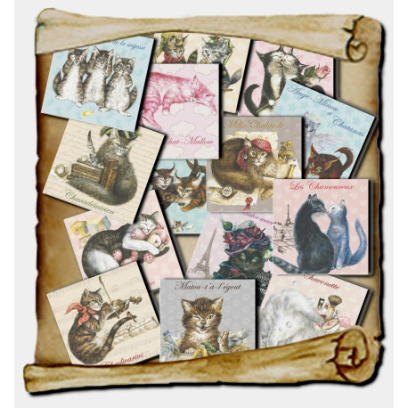 14 magnets Chats enchantés, Aimants décoratifs de chat Séverine Pineaux 