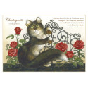 Carte postale de chat de Séverine Pineaux, Chastagnette, coll. Chats enchantés 2014
