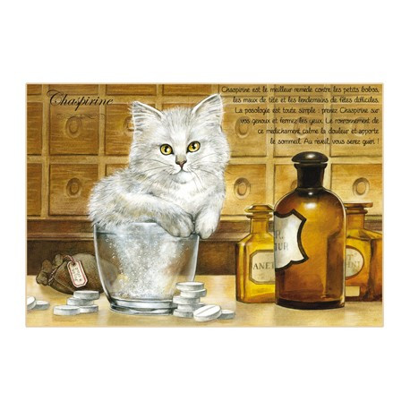 Carte postale de chat de Séverine Pineaux, Chaspirine, coll. Chats enchantés 2014