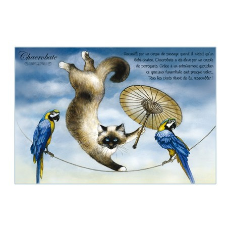 Carte postale de chat de Séverine Pineaux, Chacrobate, coll. Chats enchantés 2014