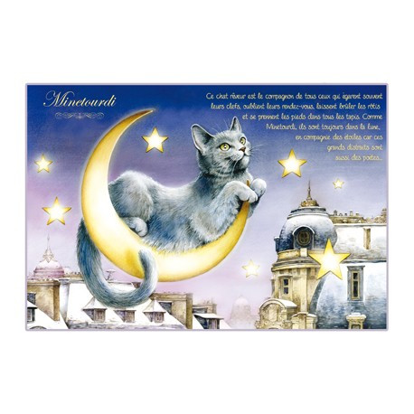 Carte postale de chat de Séverine Pineaux, Minetourdi, coll. Chats enchantés 2014