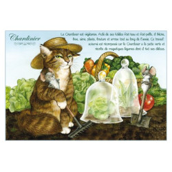 Carte postale de chat de Séverine Pineaux, Chardinier, coll. Chats enchantés 2014