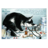Matoubib, carte postale de chat de Séverine Pineaux. Coll. Métiers des chats, éd. Au Bord des Continents