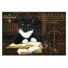 Chavocat, carte postale de chat de Séverine Pineaux. Coll. Métiers des chats, éd. Au Bord des Continents
