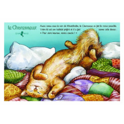 Carte postale de chat de Séverine Pineaux, Le Charesseux, coll. Caractère de chat. Editions Au Bord des Continents...