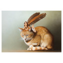 Carte postale « La fée sur le chat roux », carte postale féerique de Erlé Ferronnière