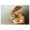 Carte postale « La fée sur le chat roux », carte postale féerique de Erlé Ferronnière