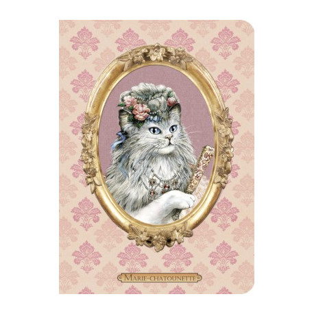 Carnet chat de Séverine Pineaux Marie-Chatounette, collection Histochats des éditions Au Bord des Continents...