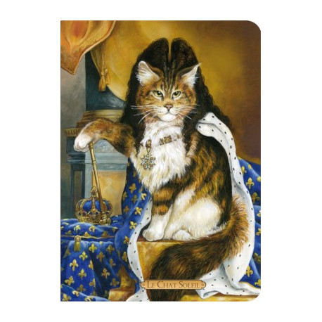 Carnet chat de Séverine Pineaux Le Chat Soleil, collection Histochats des éditions Au Bord des Continents...