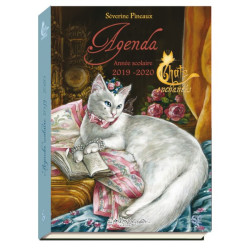 Agenda scolaire 2019-2020 Chats enchantés de Séverine Pineaux