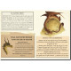 Petit grimoire Le guide secret d'un chasseur de dragons de Patrick Jézéquel, illustré par Charline, éd. Au Bord des Continents