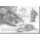 Carnet de croquis Dragons, Archives de Féerie de Pascal Moguérou, éd. Au Bord des Continents