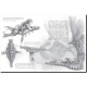 Carnet de croquis Dragons, Archives de Féerie de Pascal Moguérou, éd. Au Bord des Continents
