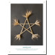 Autels et pentacles de sorcières, 20 créations ensorcelantes de Noémie Myara, coll. Do it magique des éditions Secret d'étoiles